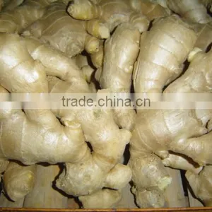 Specification Fresh Ginger thumbnail-1