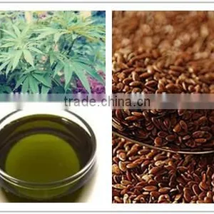 Health Supplement Virgin Organic Hemp Seed Oil Omega 6/3 thumbnail-3