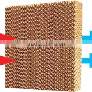 Advanced Chicken House Evaporative Cooling Pad for Poultry Houses thumbnail-4