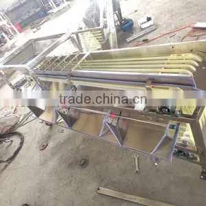 Date Grading Machine, Date Sorting Machine, Chinese Date Processing Machine thumbnail-1