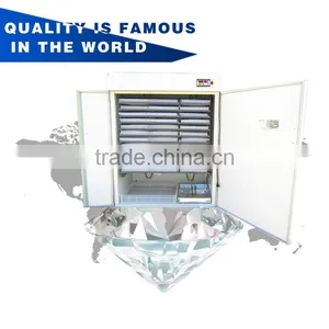 High Quality Hot Selling Used Chicken Egg Incubator for Sale Chicken Egg Incubator thumbnail-3
