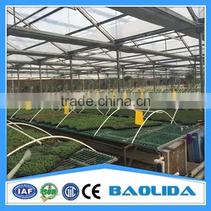 Galvanized Steel Framework Vegetable Used Green House For Sale thumbnail-2