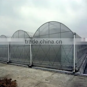 High Quality Plastic Greenhouse Film With Different Specification thumbnail-1