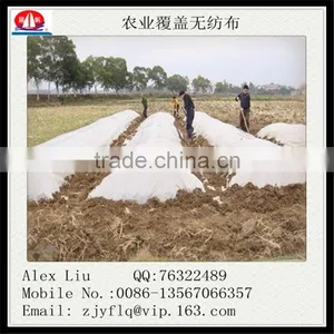 Sunscreen Insulation Agricultural pp Non Woven Mulch thumbnail-6