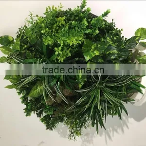 Fashion Wall Hanging Plants thumbnail-1