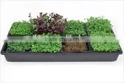 Custom Made Thermoformed Hydroponics Rectangular Nursery Plant Tray thumbnail-1