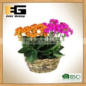 Round Natural Rattan Basket for Garden Planter thumbnail-6
