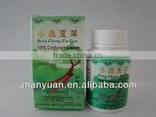 Cordyceps Capsule , Cordyceps Extract Capsule, OEM Service thumbnail-1