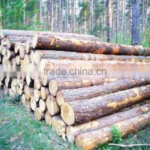 Wooden Logs thumbnail-1