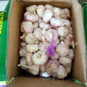 5-5.5cm Fresh Normal White Garlic In 10kg Carton Box Packing thumbnail-2