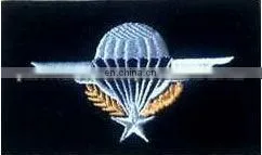 Parachute Wings thumbnail-1