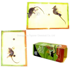Pest Trap of Rat and Mouse Trap for Stick Mouse From Guangzhou Factory thumbnail-5