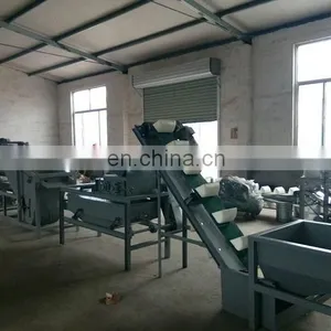 Automatic Almond Huller Machine Line for Sale thumbnail-5
