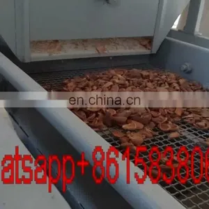Almond Hulling Machine Almond Sorting Machine Almond Processing Line thumbnail-1