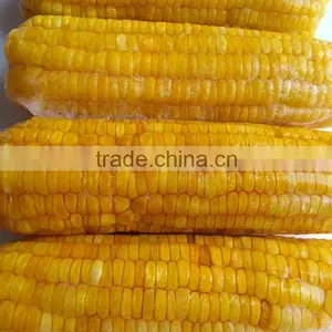 USA Frozen Yellow Sweet Corn From Vietnam thumbnail-3