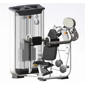2022 New Design Professional Gym Machine Standing Lateral Raise Delt Machine thumbnail-2