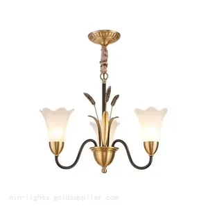 Modern European Style Living Room Bedroom Chandelier Fixture thumbnail-1