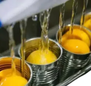 Professional Full Automatic Turnkey Project Canned Fruit Production Line thumbnail-3