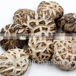 High Quality Dried Shiitake Flower Mushroom thumbnail-2