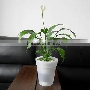 Solar Decorative Lights, Solar Flowerpot Light, Indoor Solar Lamp thumbnail-4