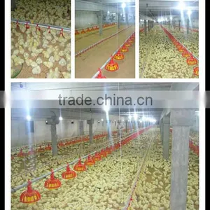 Cheap Good Quaility Automatic Poultry Nipple Drinking System for Farm thumbnail-2