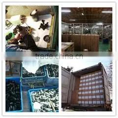 Danyang Xinyi Instruments Optical Co., Ltd. company overview - view 2 thumbnail