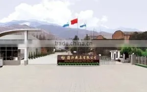 Shaanxi Hanjiang Machine Tool Co., Ltd. company overview - view 1 thumbnail