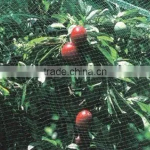 Anti Bird Net thumbnail-2