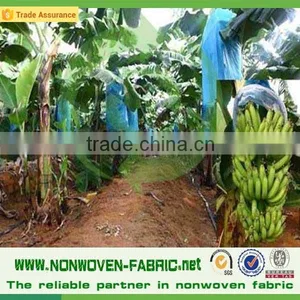 Spun Bond Non Woven for Agriculture Non-woven Banana Bag thumbnail-1
