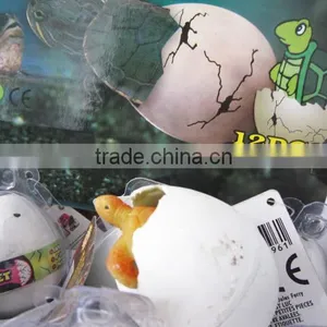 Novel Growing Pet Egg Toy Growing Tortoise Egg Toy Growing Dionsuzr Egg Toys thumbnail-1