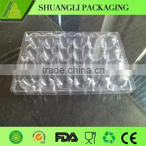 24 Holes Rectangular Clear Transparent Plastic Quail Egg Cartons thumbnail-5