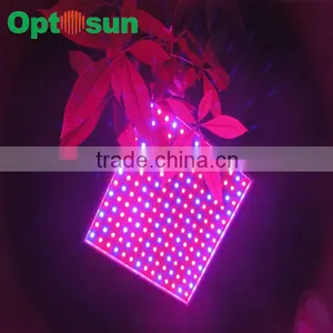 SMD 5050 Led Plant Grow Light Strip thumbnail-1