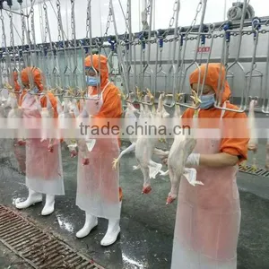 Poultry Slaughter House thumbnail-1