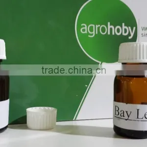 Laurel Bay Leaf Essential Oils , Laurel Oil thumbnail-2