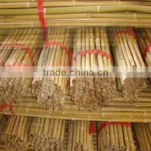 Good Quality Raw Bamboo Poles and Hot Sale Best Quality Hydroponic Bamboo Poles thumbnail-6