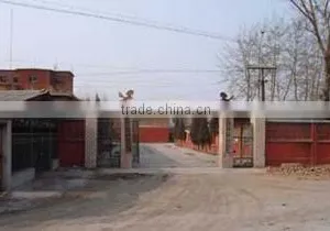 SZ Blinggems Co., Ltd. company overview - view 1 thumbnail