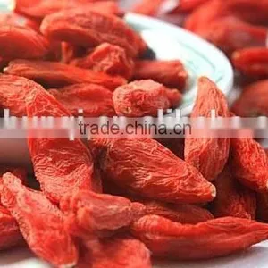 Goji/gojiberry thumbnail-3