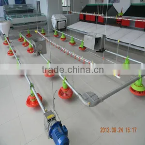 Poultry Machine for Breeder thumbnail-1