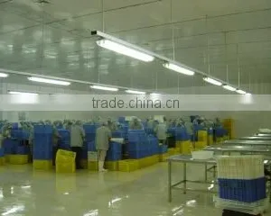 Qingdao Sino-World International Trading Co., Ltd. company overview - view 1 thumbnail