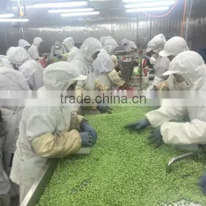 Frozen Green Pea thumbnail-2