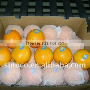 Sweet Navel Orange For Hot Sale thumbnail-1