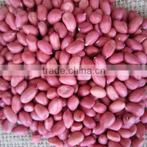 2011 Crop Red Peanut in Shell thumbnail-1