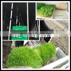 Wholesale Factory Supply Sprout Growing Machine thumbnail-1