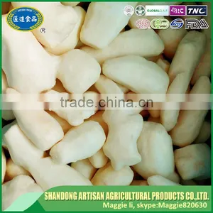 Frozen IQF Ginger thumbnail-2