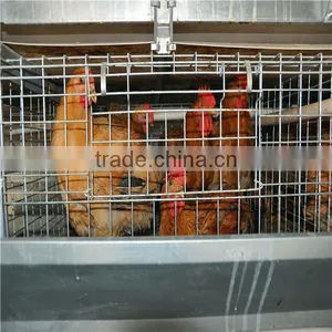 Galvanized Wire Chicken Cages for Chicken Coop thumbnail-1