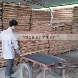 100%A Grade Eucalyptus Core Veneer Origin of Vietnam to Turkey Market thumbnail-1