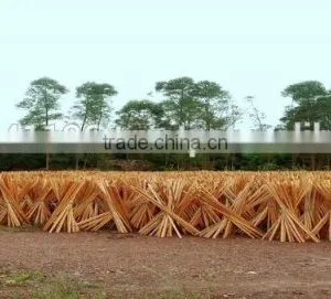 MADE IN VIETNAM HOT SALES IN EGYPT NATURAL WOODEN BROOM STICK thumbnail-2
