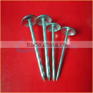 Top Quality Umbrella Head Screw Rod Roofing Nails Trusted Chuanghe Suppliers From Com thumbnail-2