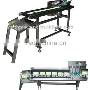 Automatic Conveyor Paging Machine for Inkjet Printer thumbnail-1