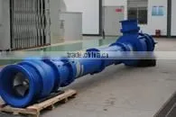 Electric Water Pump Vertical thumbnail-5